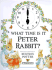 What Time is It Peter Rabbit? (the World of Peter Rabbit Collection 2)