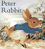 Peter Rabbit Board Book