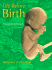 Life Before Birth: Normal Fetal Development