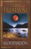 Bloodmoon Mystery of Ancient Ireland