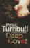 Deep Cover (a Harry Vicary Mystery, 2)