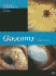 Glaucoma (Fundamentals of Clinical Ophthalmology)