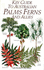 Key Guide to Australian Palms, Ferns, and Allies
