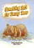 Something Soft for Danny Bear (Literacy Tree)