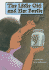 The Little Girl and Her Beetle: So Much to Do (Literacy Links Plus Guided Readers Fluent)
