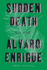 Sudden Death: a Novel