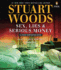 Sex, Lies & Serious Money (a Stone Barrington Novel)