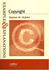 Copyright: Examples and Explanations
