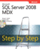 Microsoft� Sql Server� 2008 Mdx
