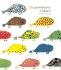 Chameleon's Colors