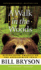 Walk in the Woods, a (Lib)(Cd)