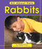 Rabbits (All About Pets)