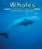 Whales (Pebble Books)