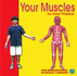 Your Muscles (Bridgestone Science Library: Your Body)