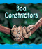 Boa Constrictors (Pebble Books)