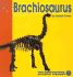 Brachiosaurus