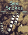 Sea Snakes (Pebble Books)