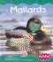 Mallards (Pebble Books)