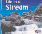 Life in a Stream (Living in a Biome)