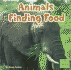 Animals Finding Food (First Facts. Animal Behavior)