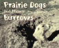 Prairie Dogs and Their Burrows (Pebble Plus)