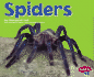 Spiders (Pebble Plus)