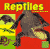 Reptiles (Exploring the Animal Kingdom)