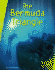 The Bermuda Triangle