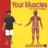 Your Muscles (Your Body)