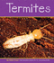 Termites (Insects)