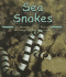 Sea Snakes (Ocean Life)