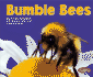Bumblebees (Pebble Plus)
