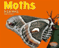 Moths (Pebble Plus)