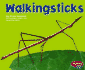 Walkingsticks (Pebble Plus)