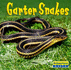 Garter Snakes (World of Reptiles)