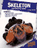 Skeleton: High-Speed Ice Sliding