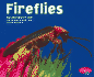 Fireflies (Pebble Plus)