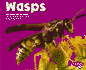 Wasps (Pebble Plus)