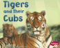 Tigers and Their Cubs (Pebble Plus: Animal Offspring)