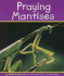 Praying Mantises