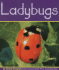 Ladybugs (Insects (Mankato, Minn.). )