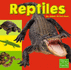 Reptiles (Exploring the Animal Kingdom)