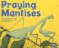 Praying Mantises (Bugs, Bugs, Bugs! )