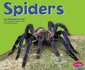 Spiders (Pebble Plus-Bugs, Bugs, Bugs! )