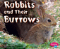 Rabbits and Their Burrows (Animal Homes)