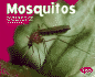 Mosquitoes (Pebble Plus)