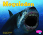 Megalodon (Dinosaurs and Prehistoric Animals)
