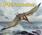 Pteranodon (Pebble Plus)
