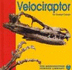 Velociraptor