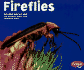 Fireflies